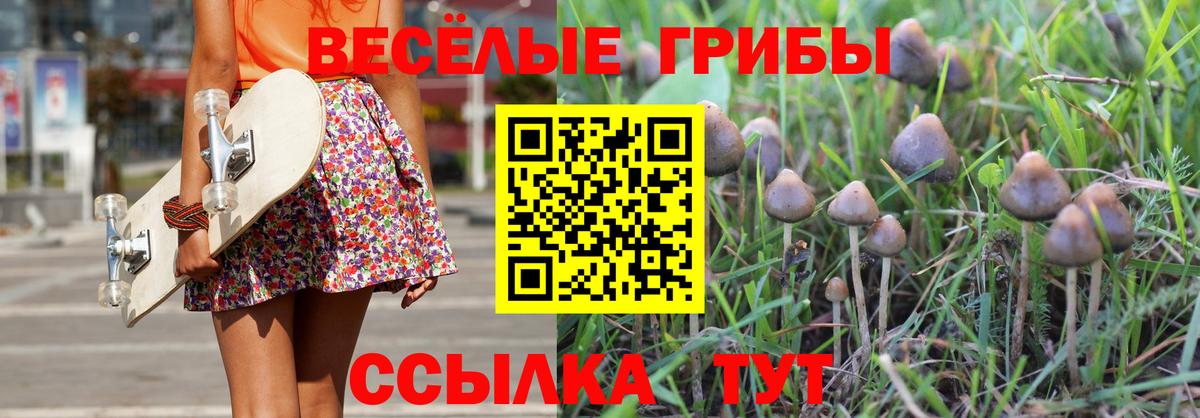 Псилоцибиновые грибы Magic Shrooms  как найти наркотики  Тверь  Вход с VPN 